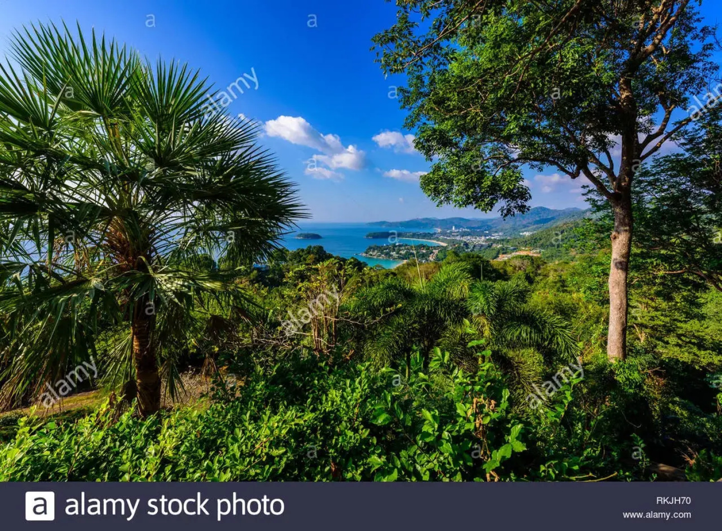 Отель Jazz u garden