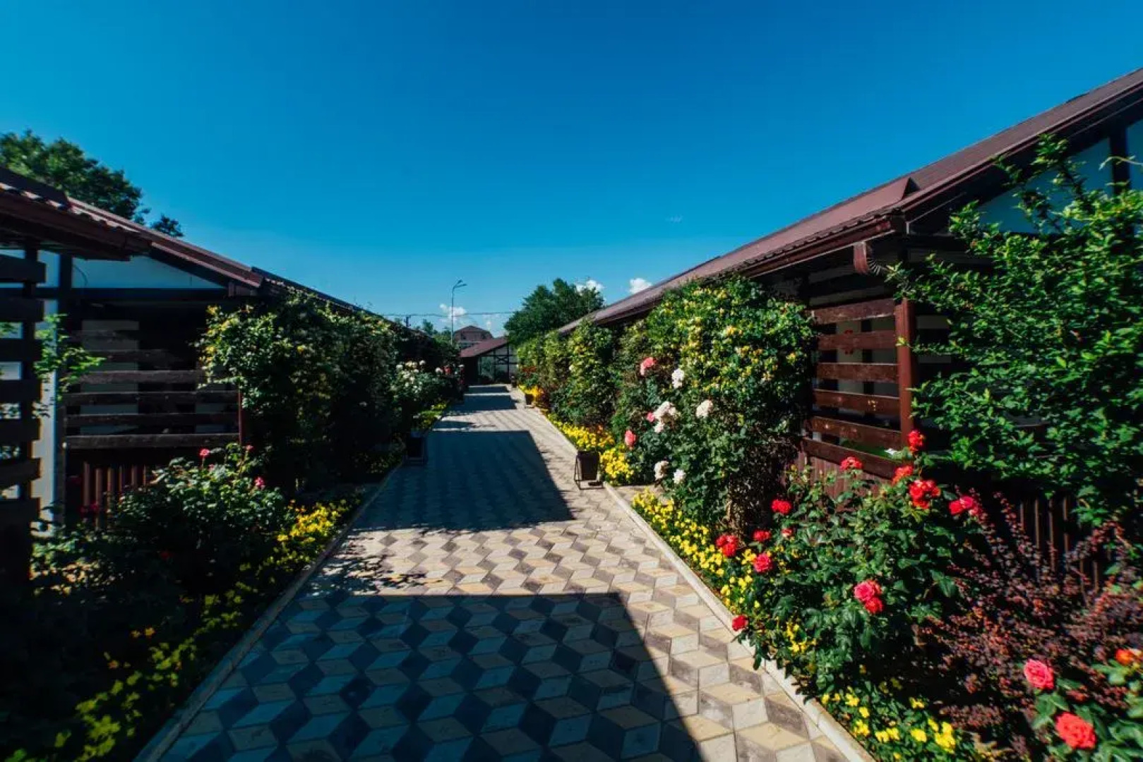 Отель Гостевой комплекс Альтаир