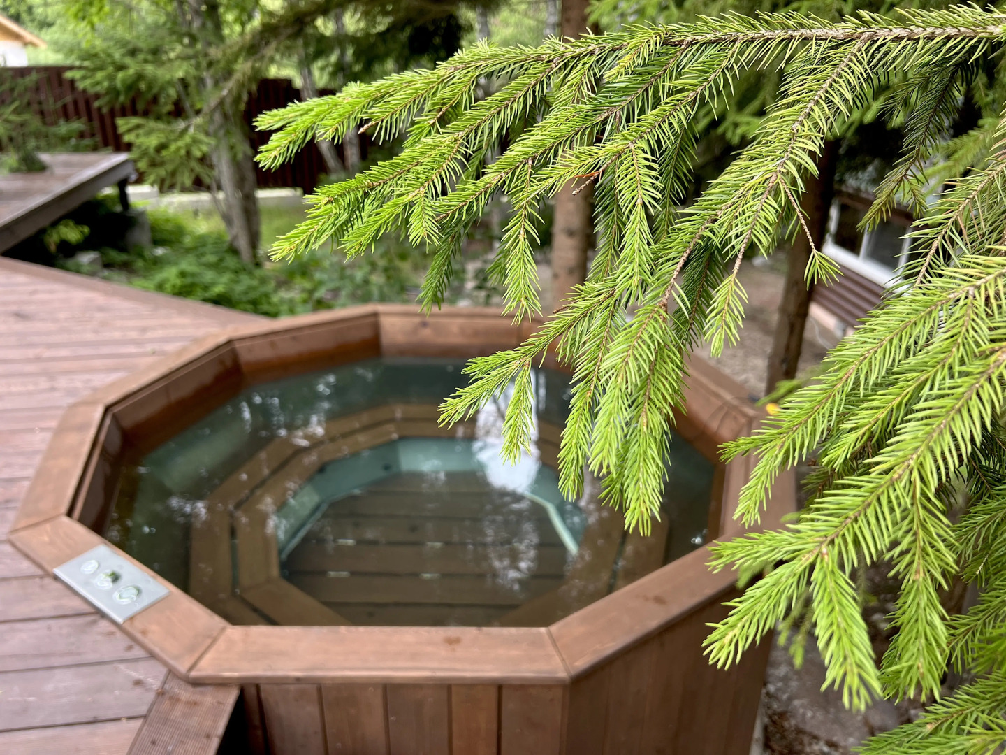 Частный дом Коттедж Финский Лес