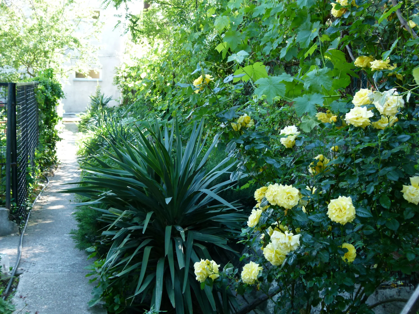 Гостевой Дом на Площади Захарова