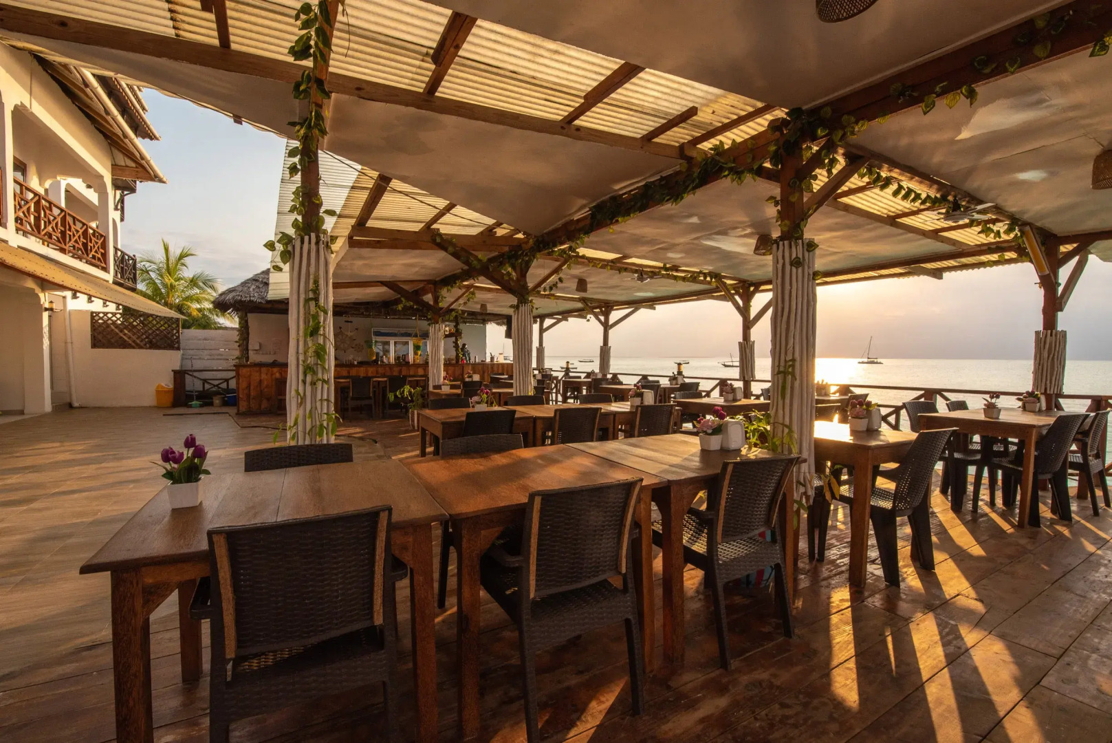 Отель Zenobia Beach Resort