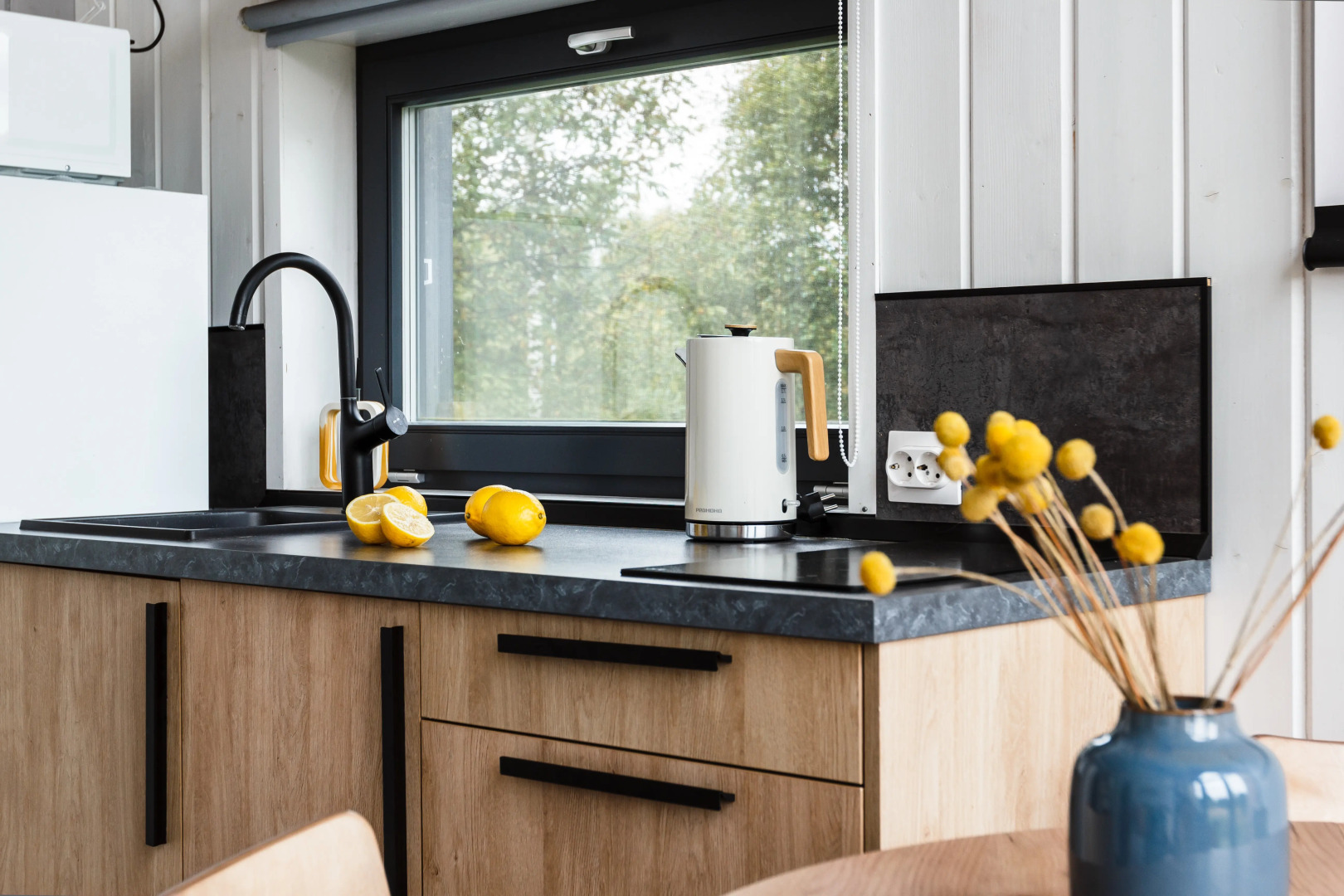 Частный Дом с Панорамными Окнами от Sheluha House