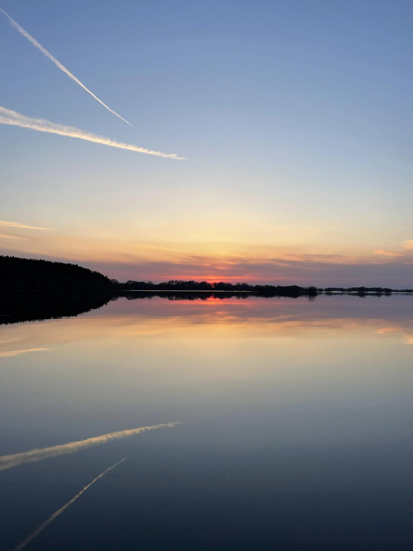 Шале Ромашки