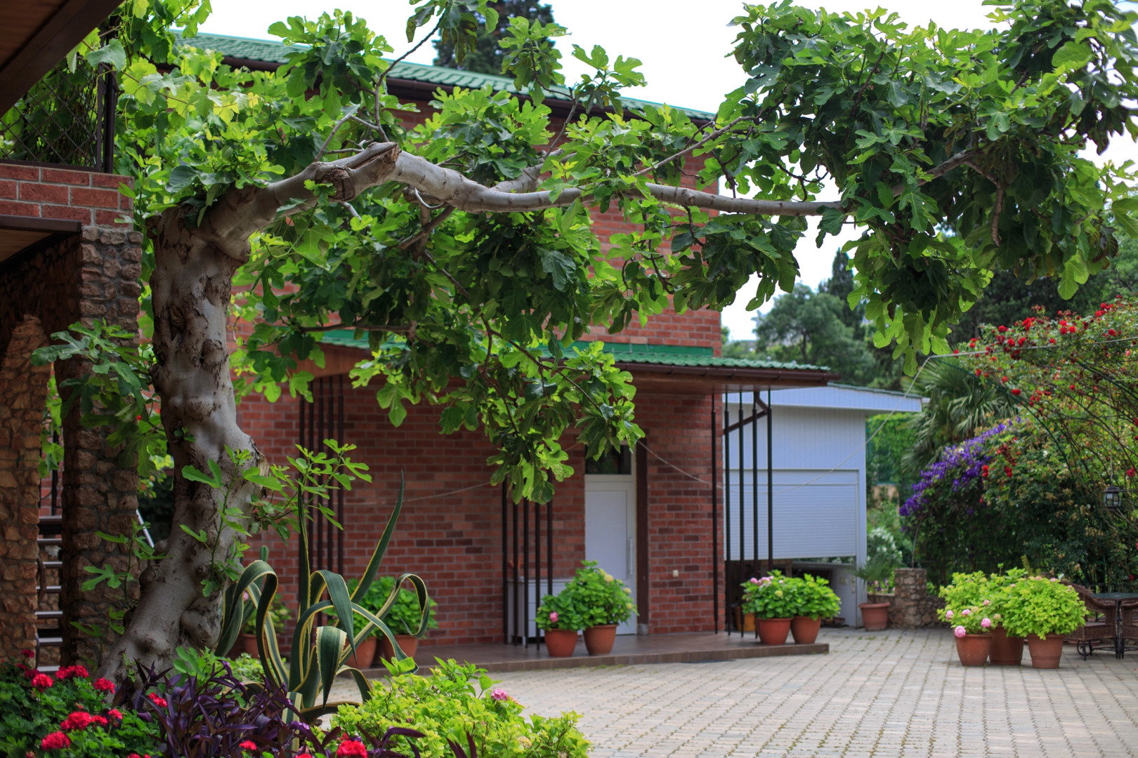 Гостевой дом Спарта