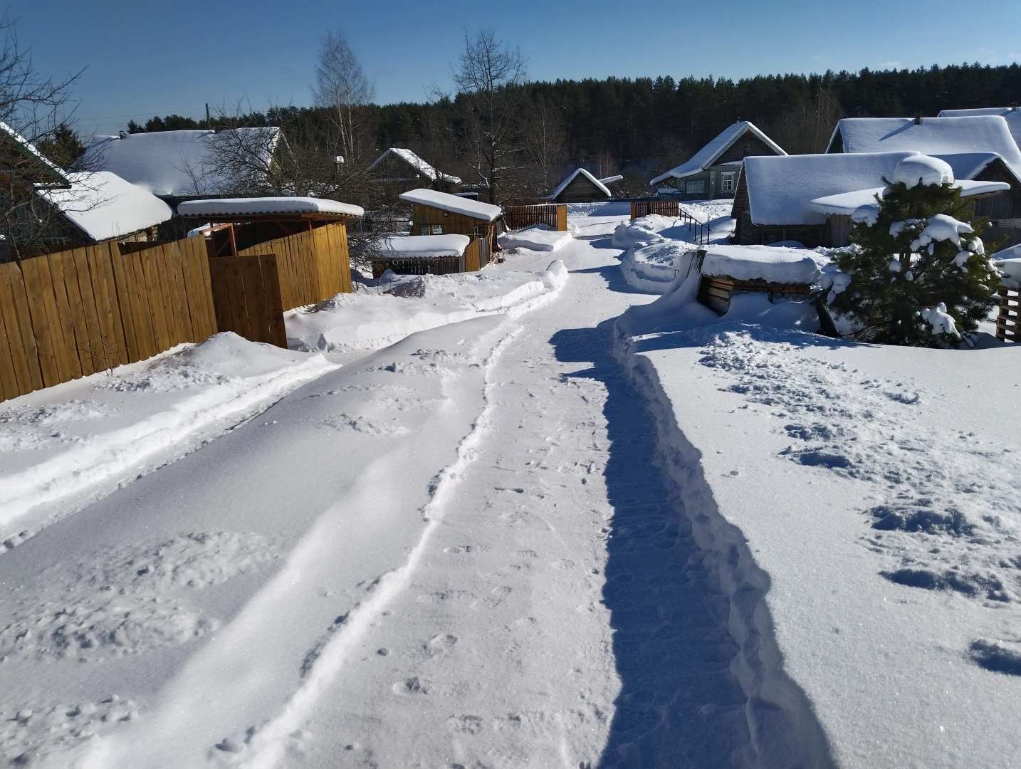 Частный дом в деревне
