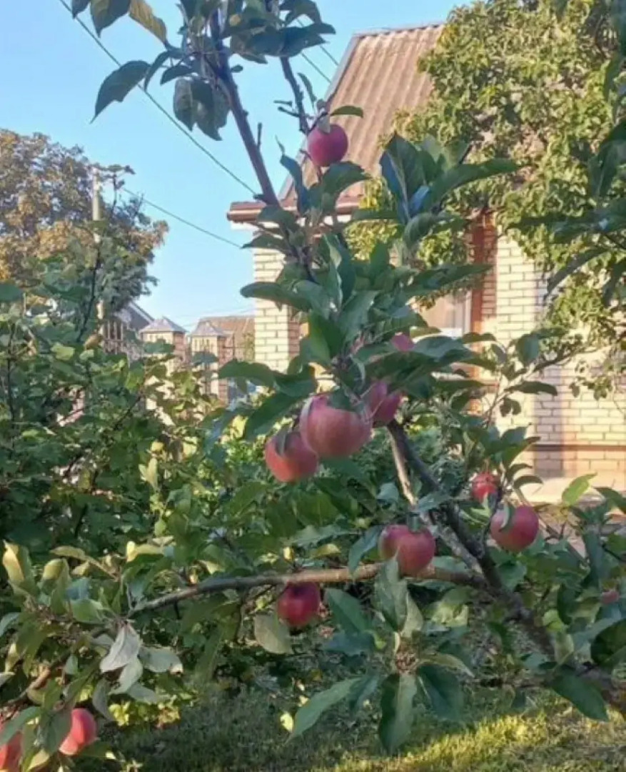 Частный Дом в Центpе Дeревни Взвад