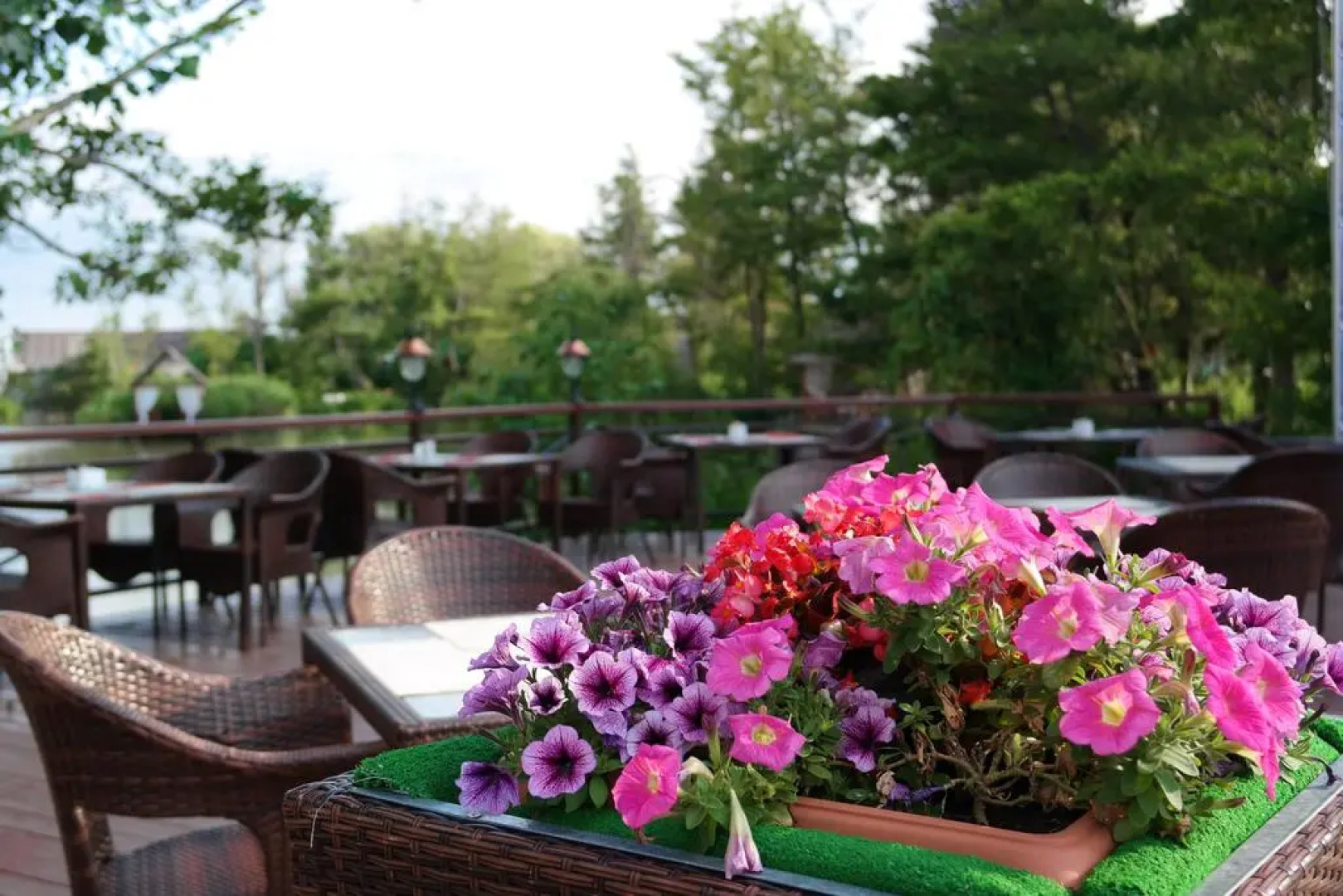 Парк-отель Озеро Дивное