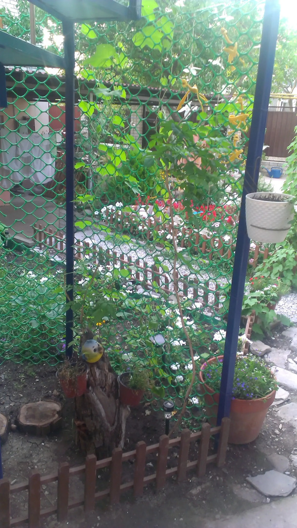 Гостевой дом Вера