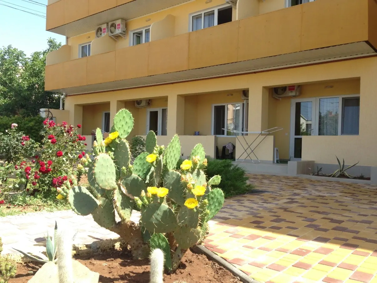 Отель Gala Paradise