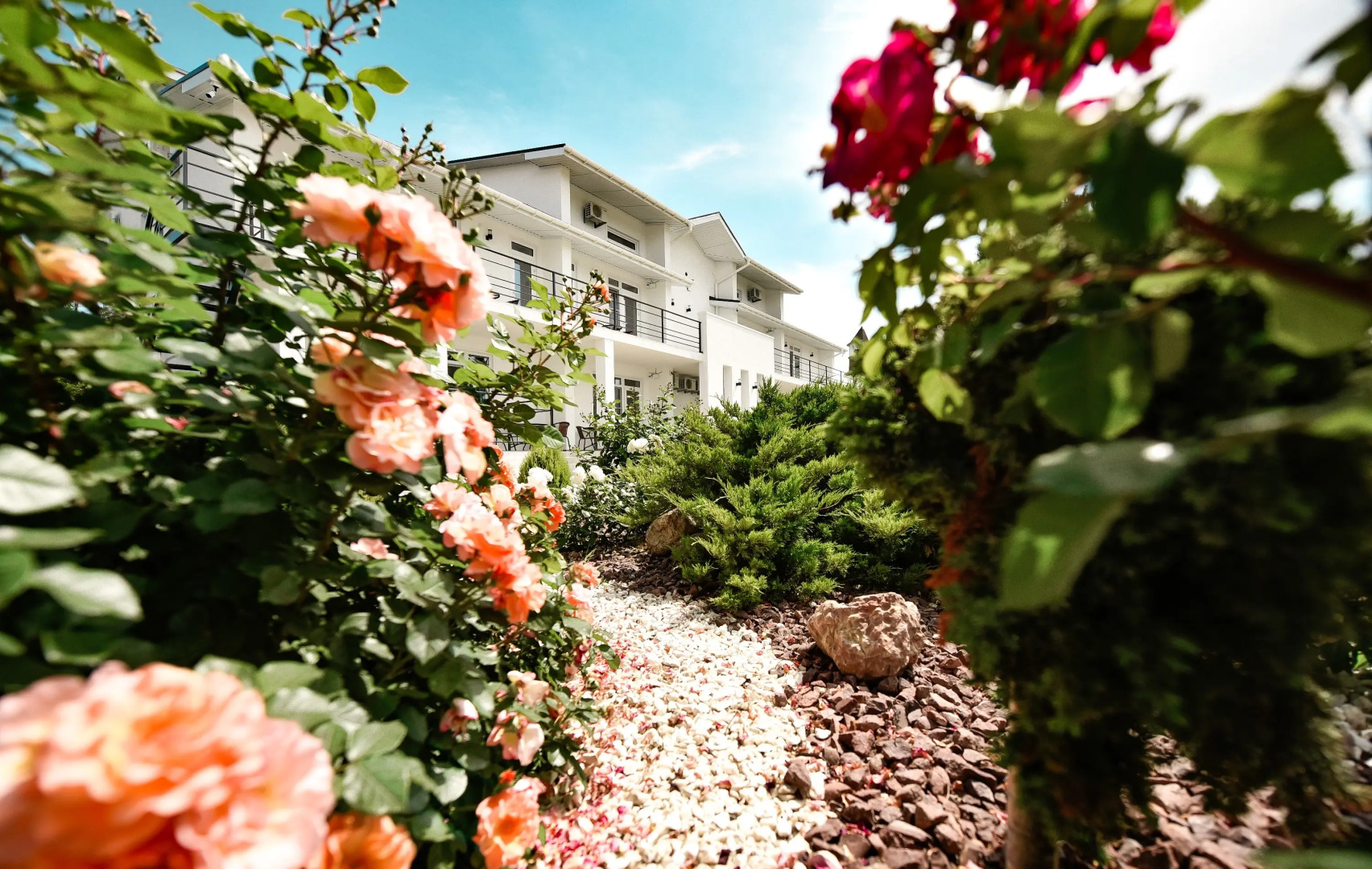 Отель Белая Ива