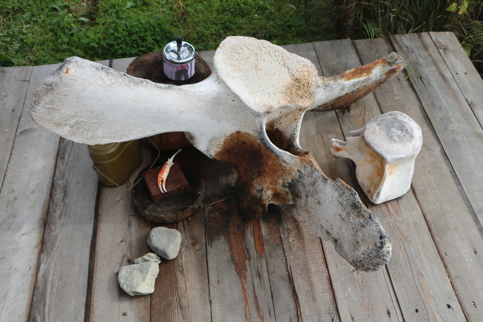 База Отдыха Росомаха