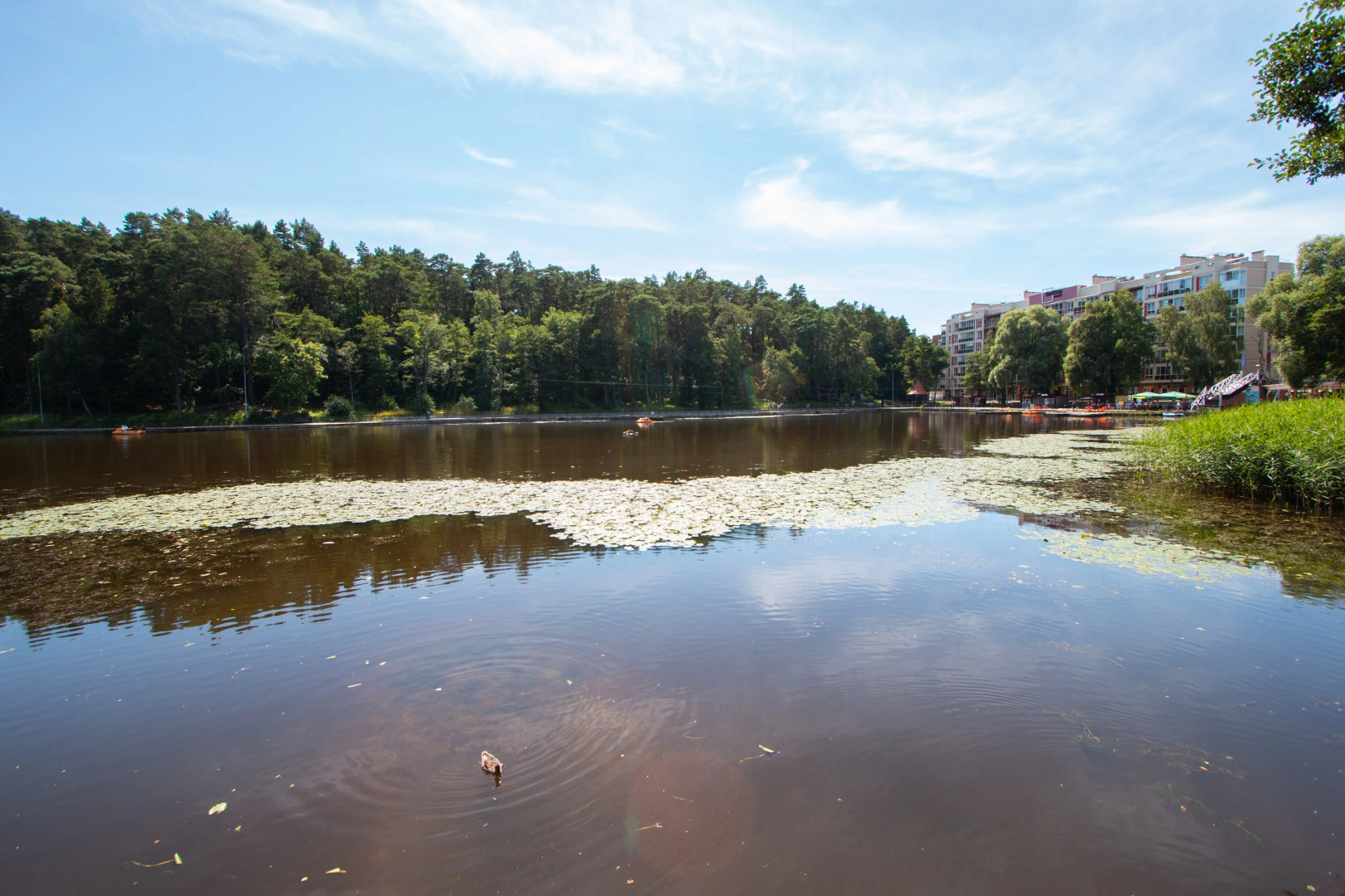 Апартаменты Lake City Sea Style