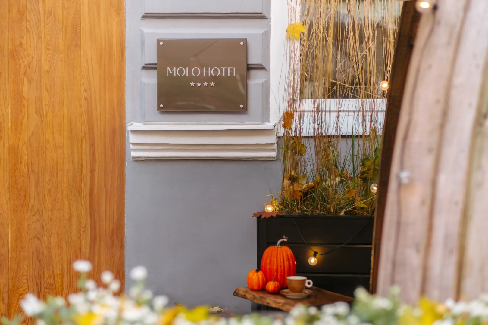 Бутик-отель MOLO