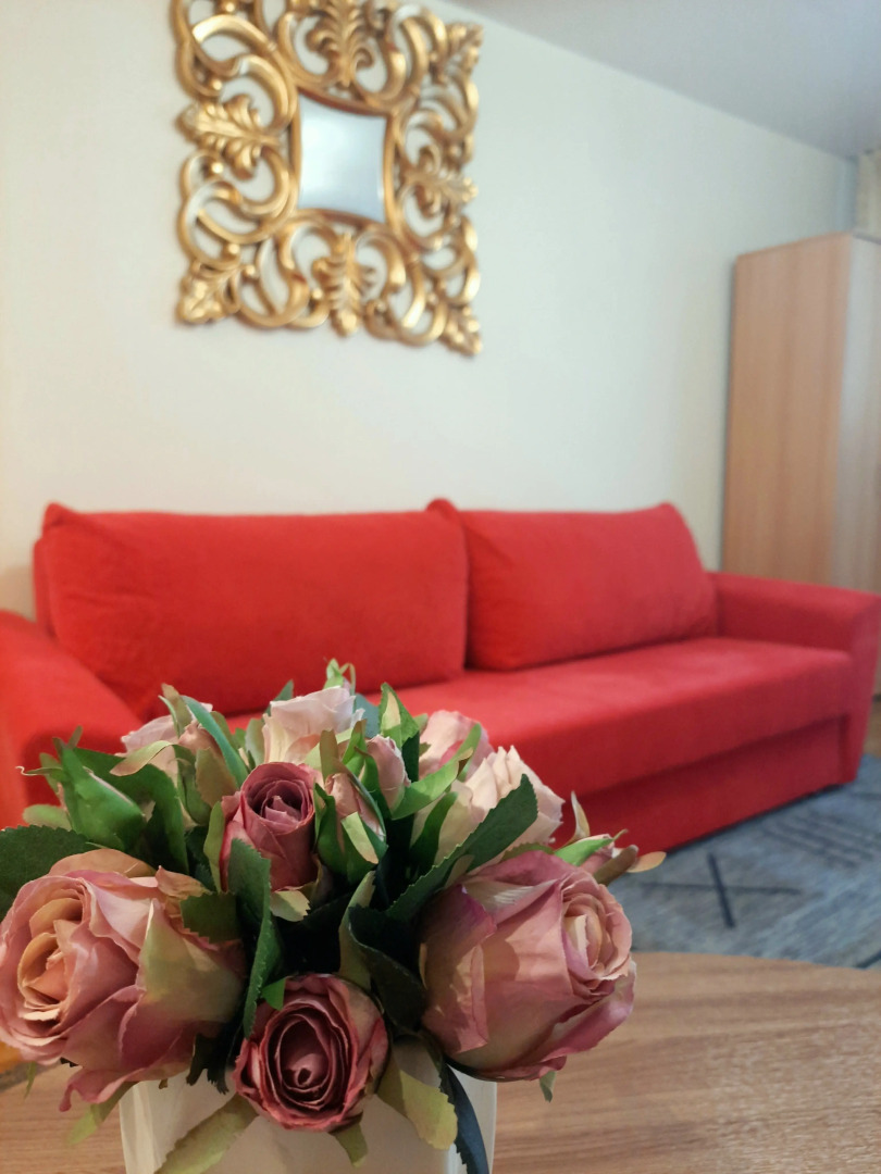 Квартира Двухкомнатная в Историческом Центре Амалиенау