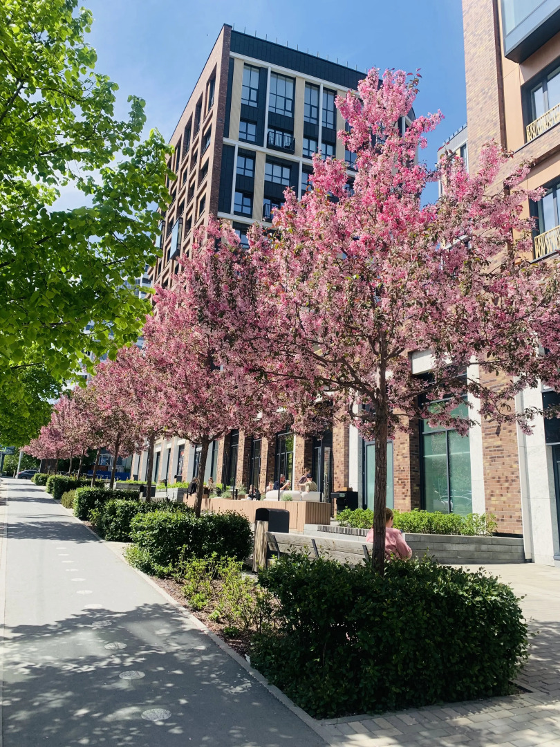 Апартаменты на Радищева 41