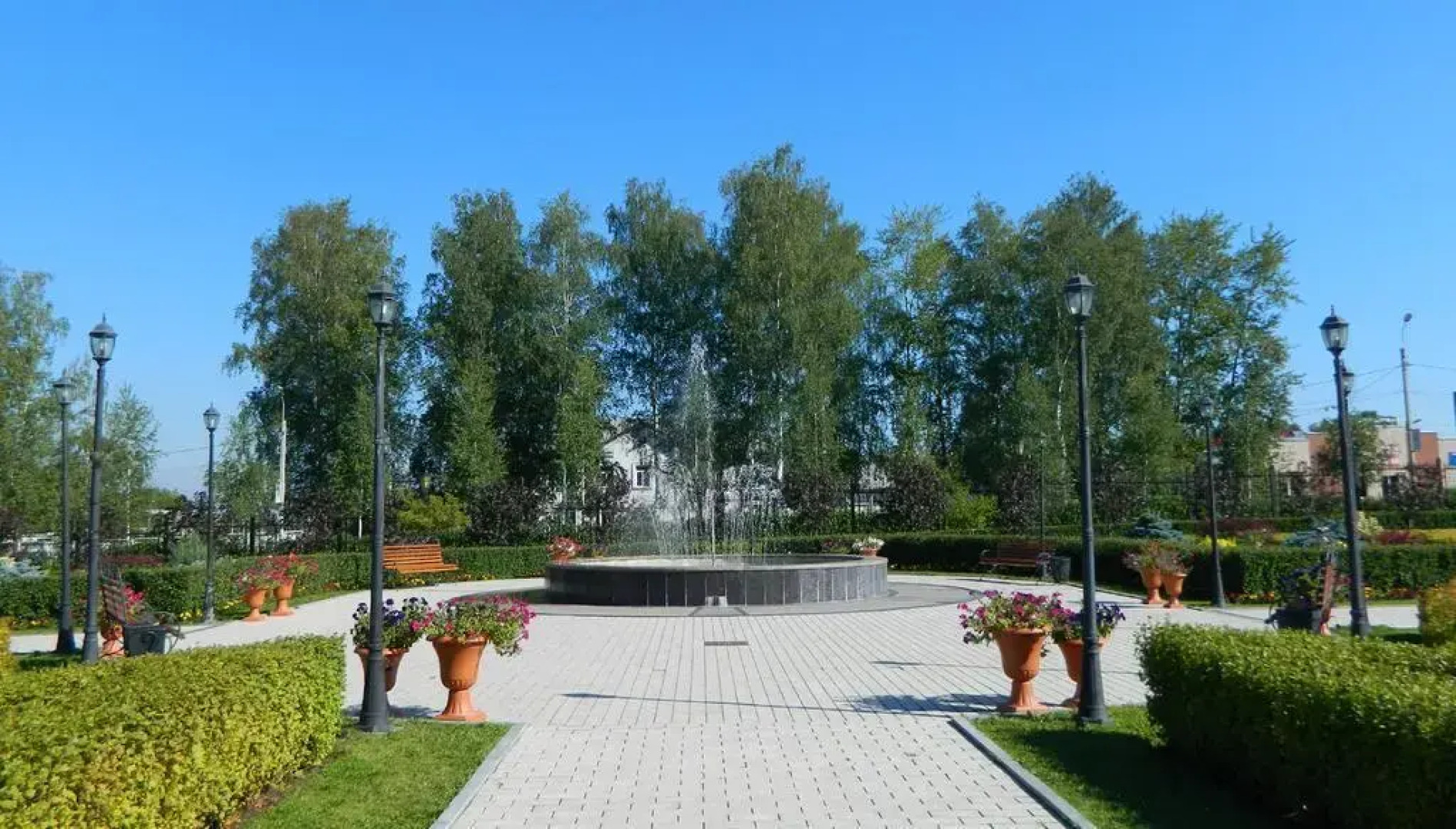 Вега Бизнес