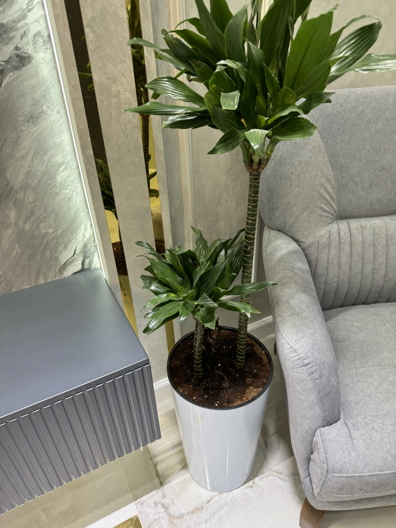 Апартаменты Lux appartment near Registan