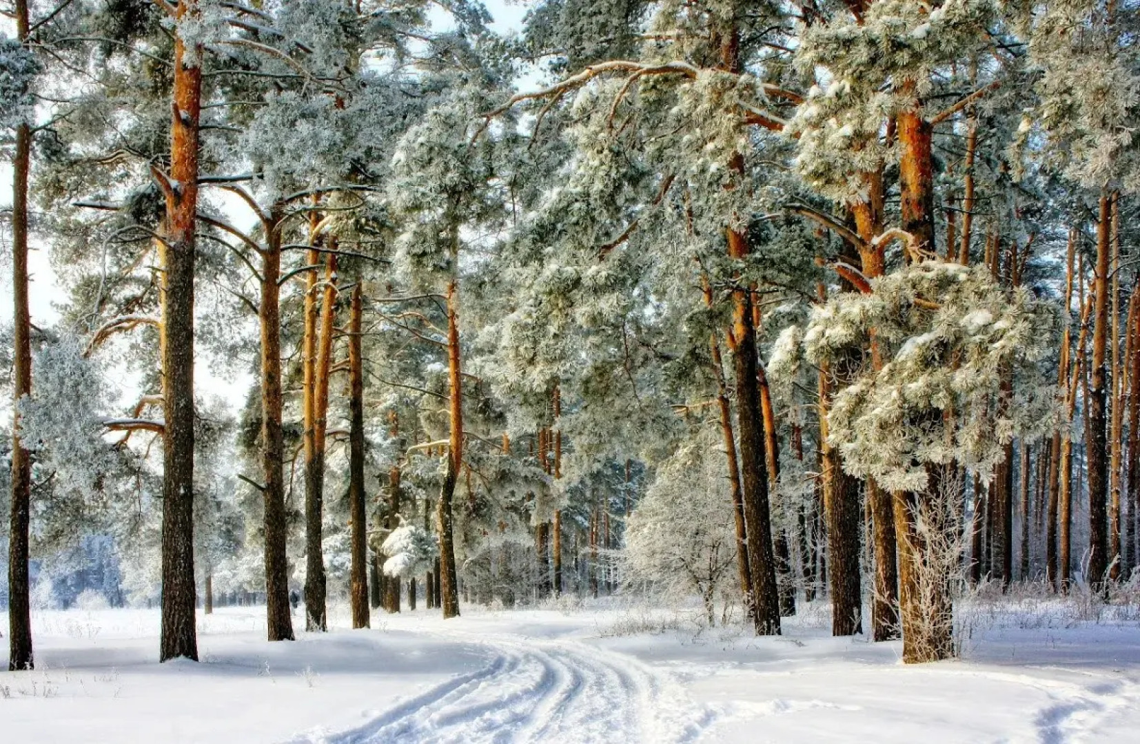 Гостевой Дом DUBRAVA