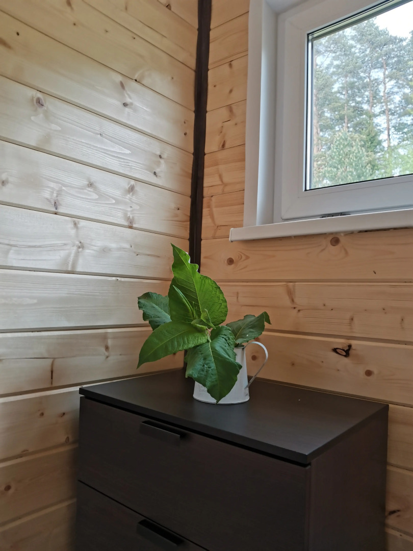 База отдыха Ефимов Глэмп