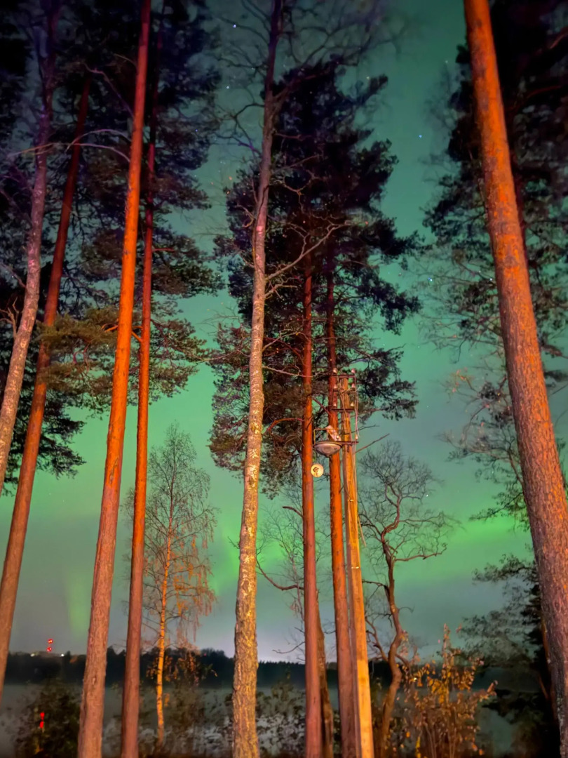 Отель Курорт Большое Борково