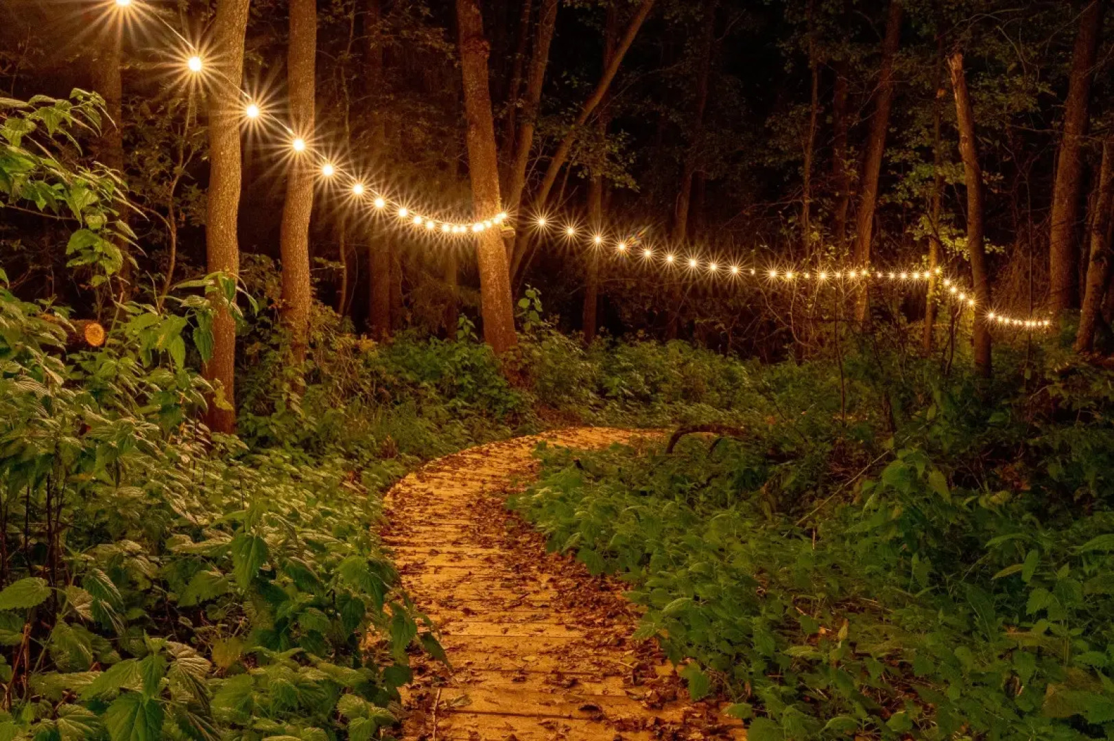 Частный Дом Афрейм с видом на лес №2