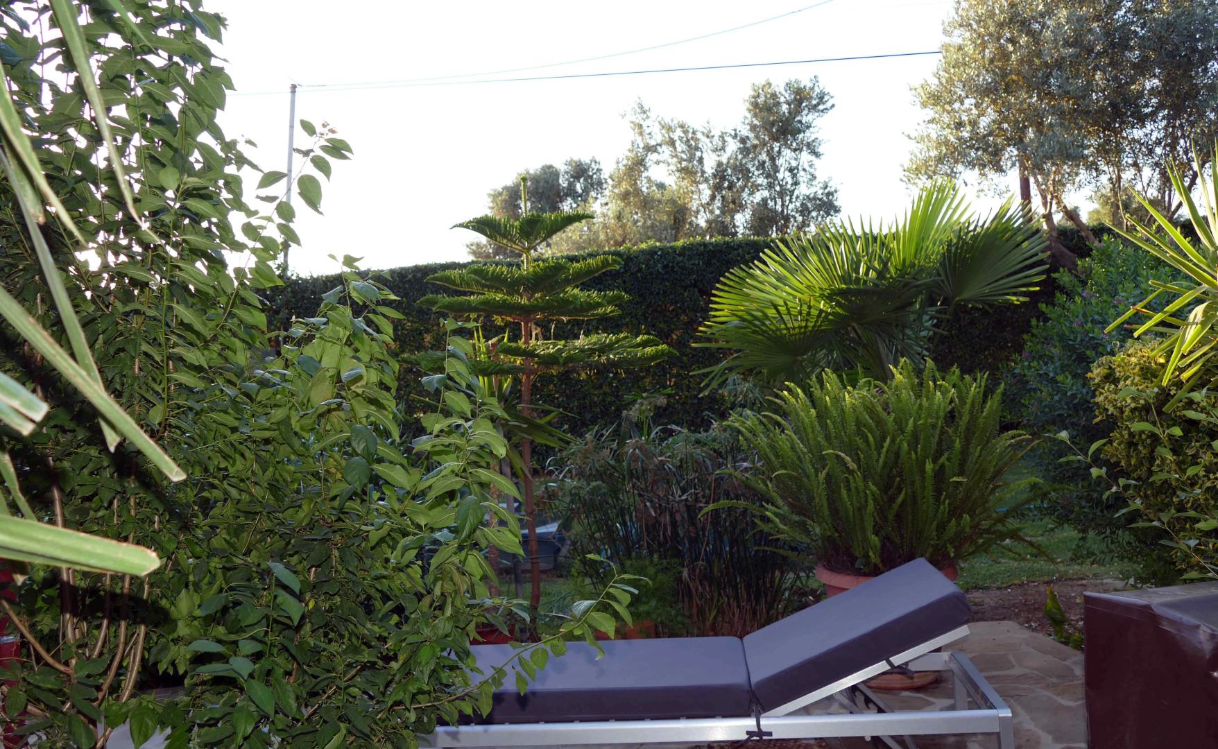 Гостевой Дом esperides holidays-House with small pool 37 km from Athens