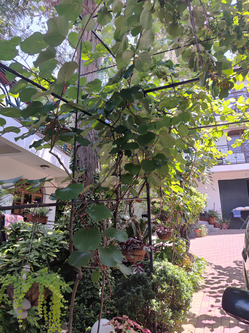 Гостевой дом Эвкалипт