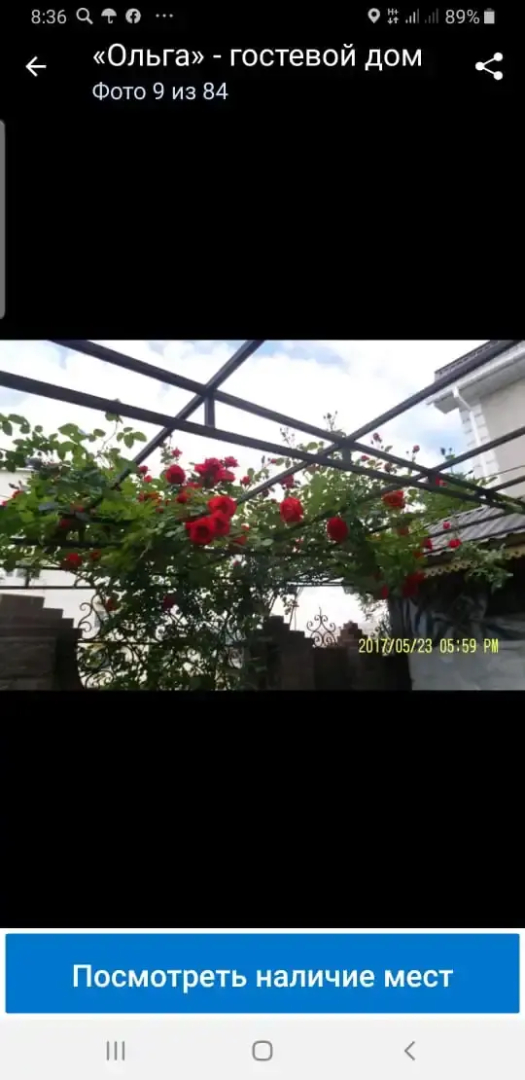 Olga Guest House