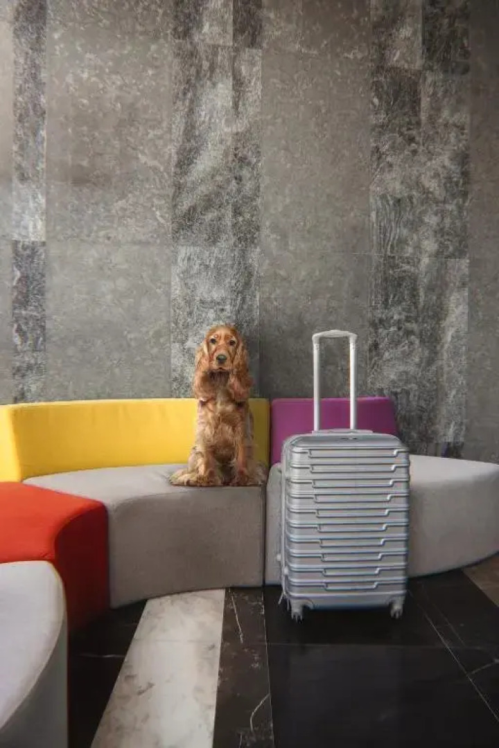 Апарт-отель Izzzi Life Mint