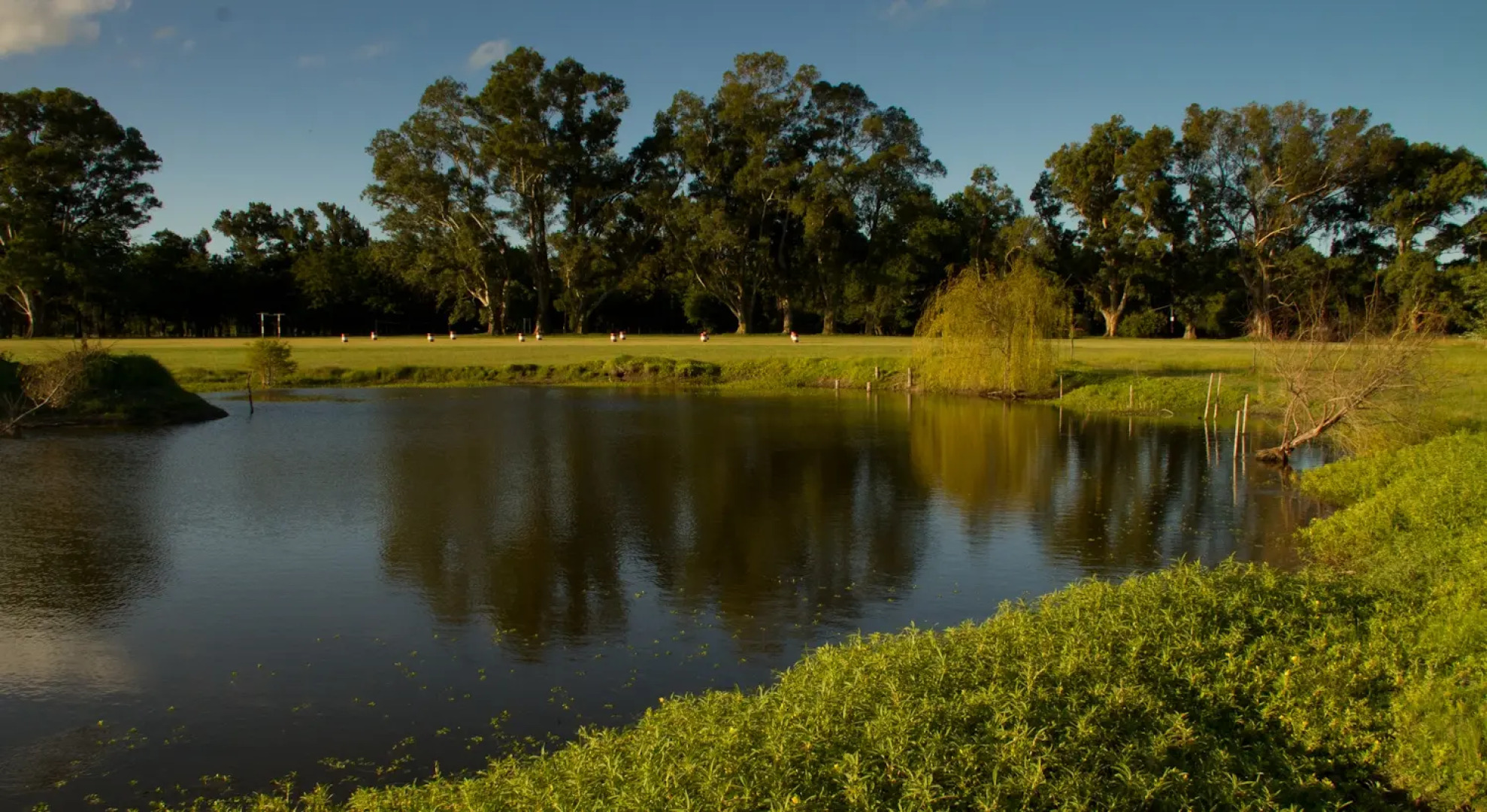 Отель Estancia Monte Viejo