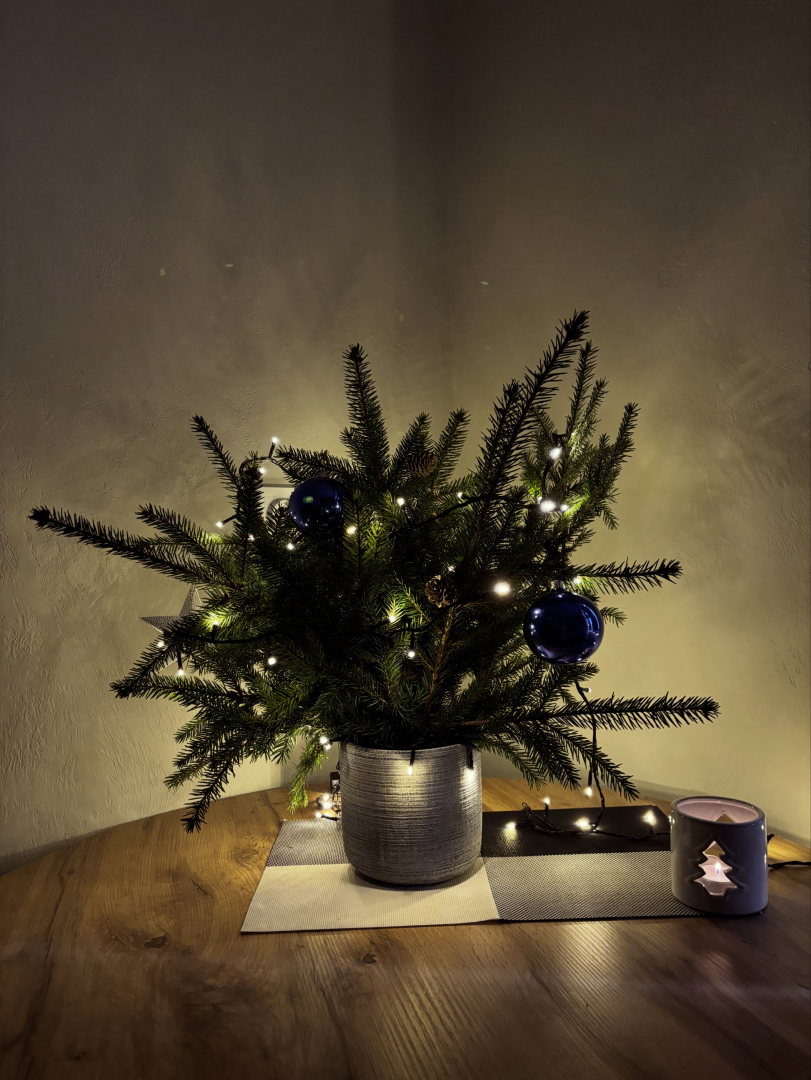 Апартаменты на проспекте Победы 6