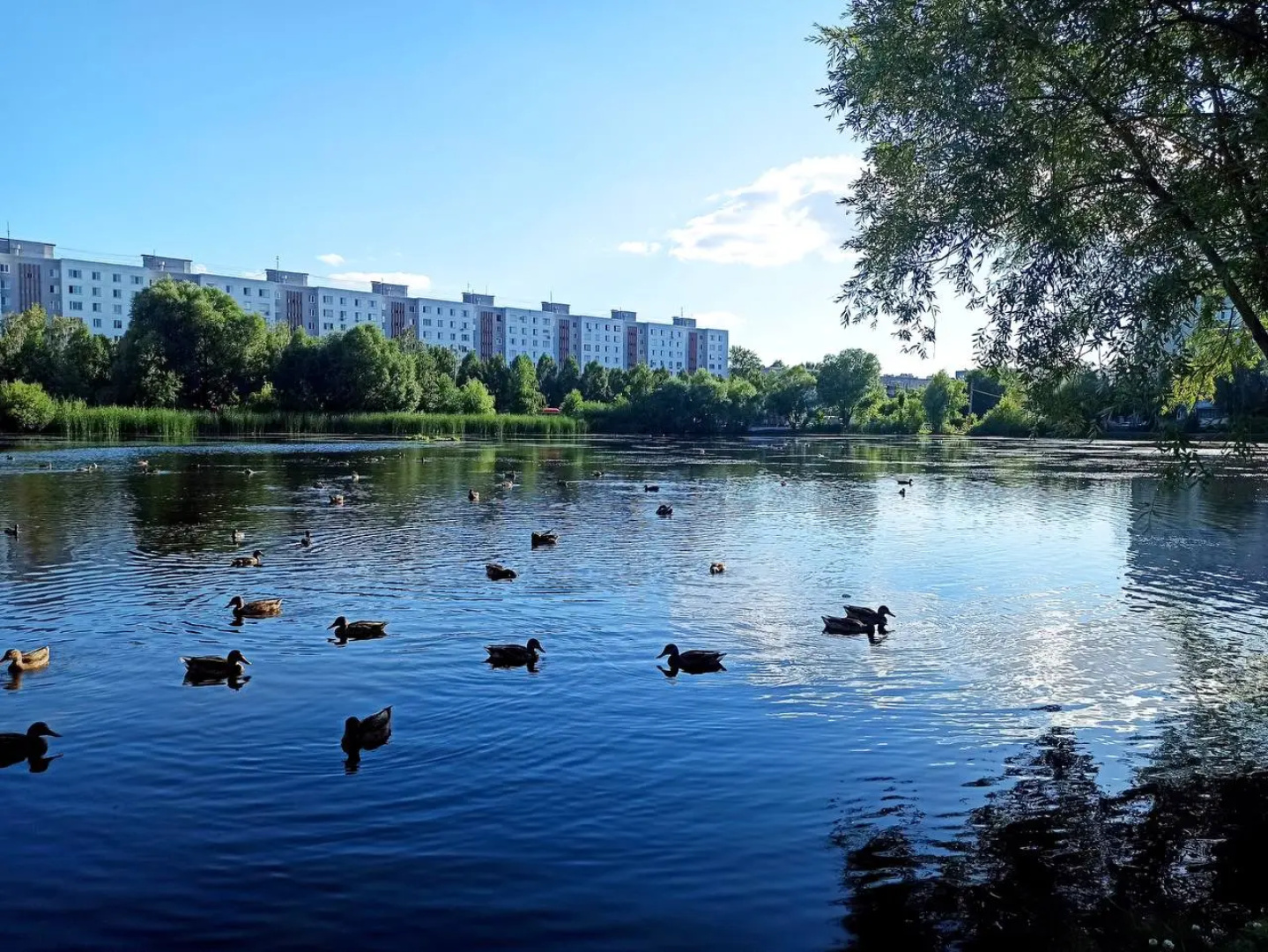 Квартира у озера