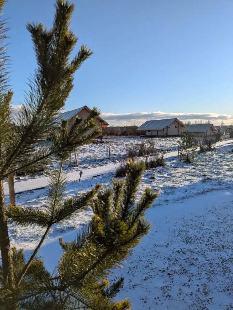 Глэмпинг Носороги