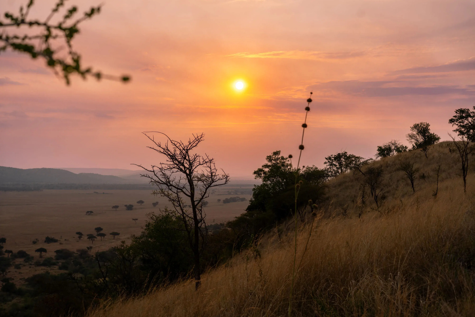 Отель Neptune Serengeti Luxury