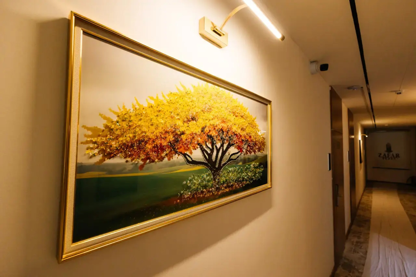 Отель Zafar Plaza