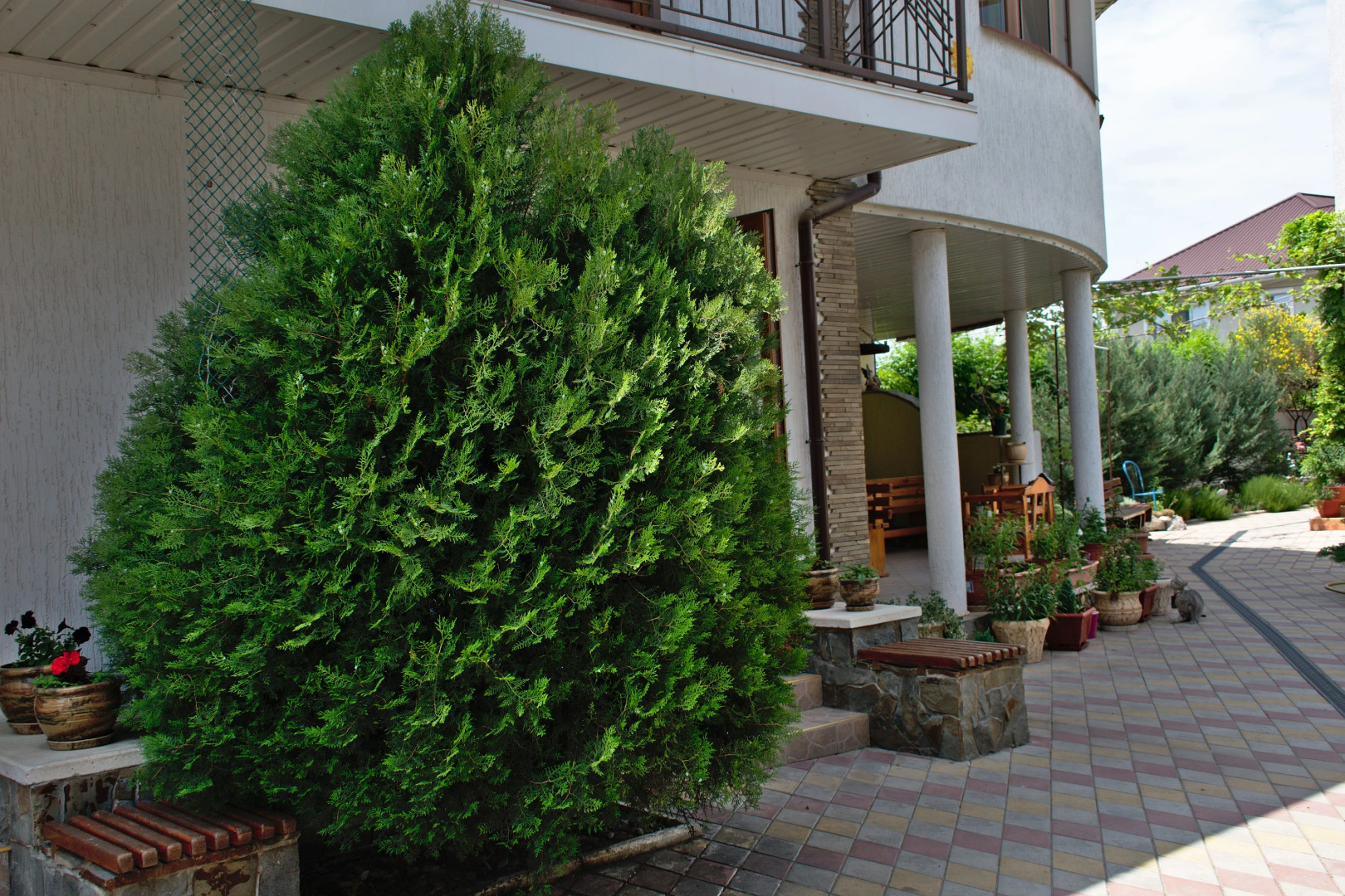 Гостевой Дом Светоч