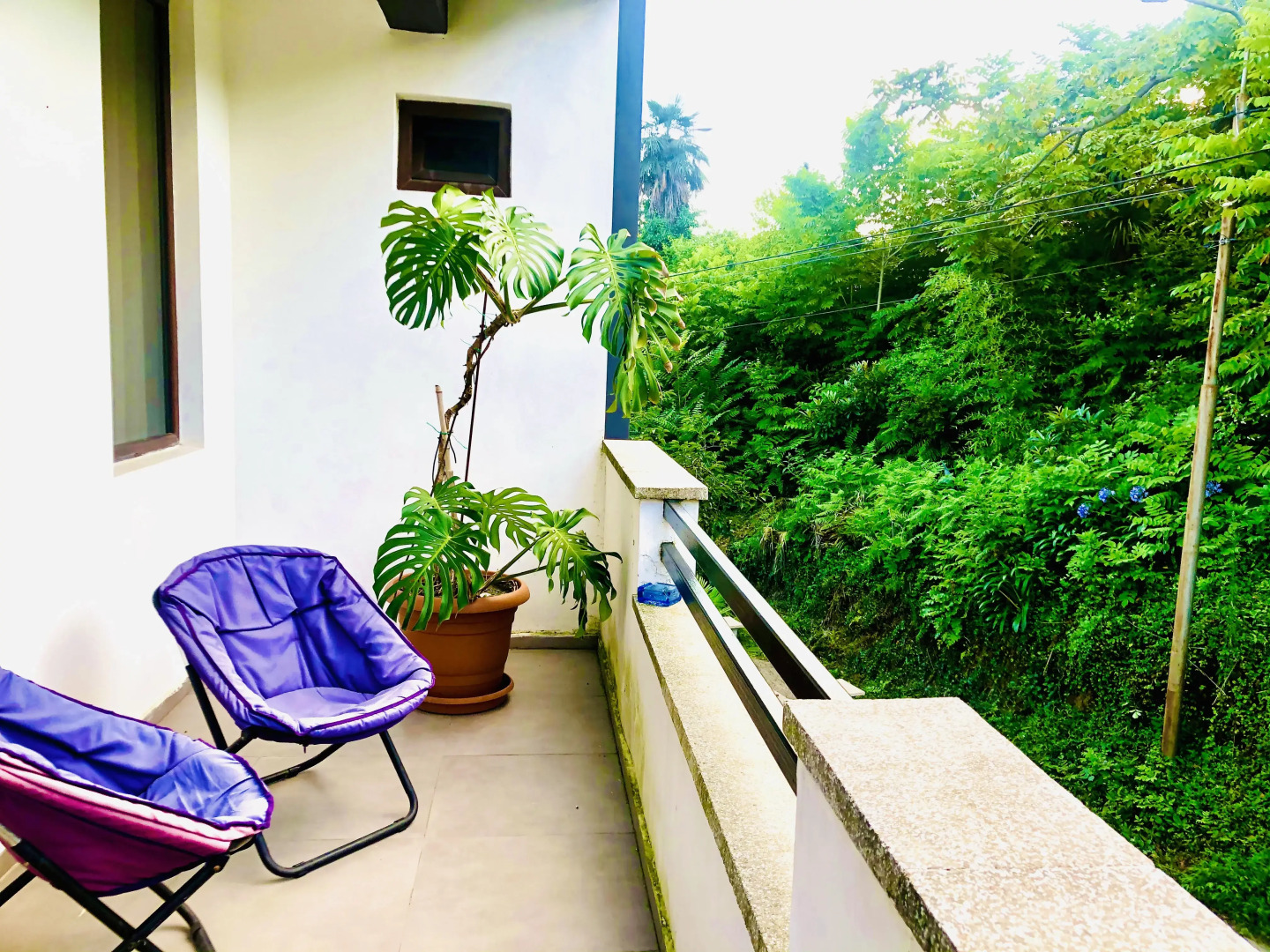 Отель Holiday House Green Gape Batumi