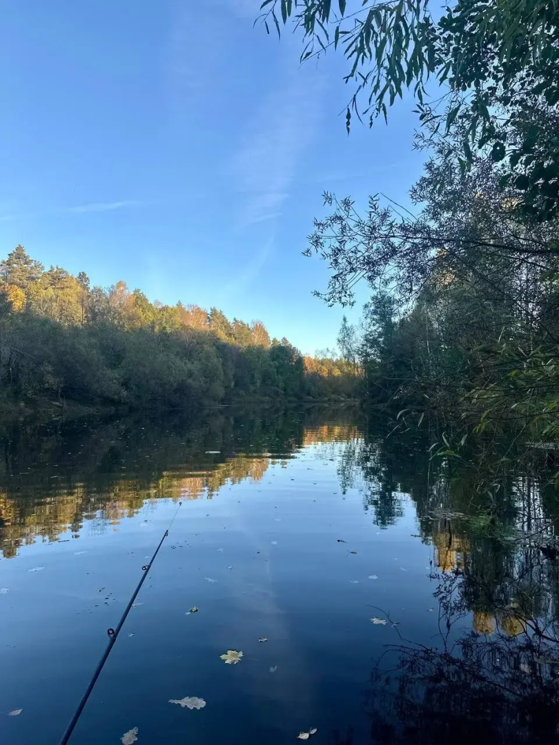 Частный дом Стильный Уютный с Чаном и Баней в Лесу прямо на Берегу Реки