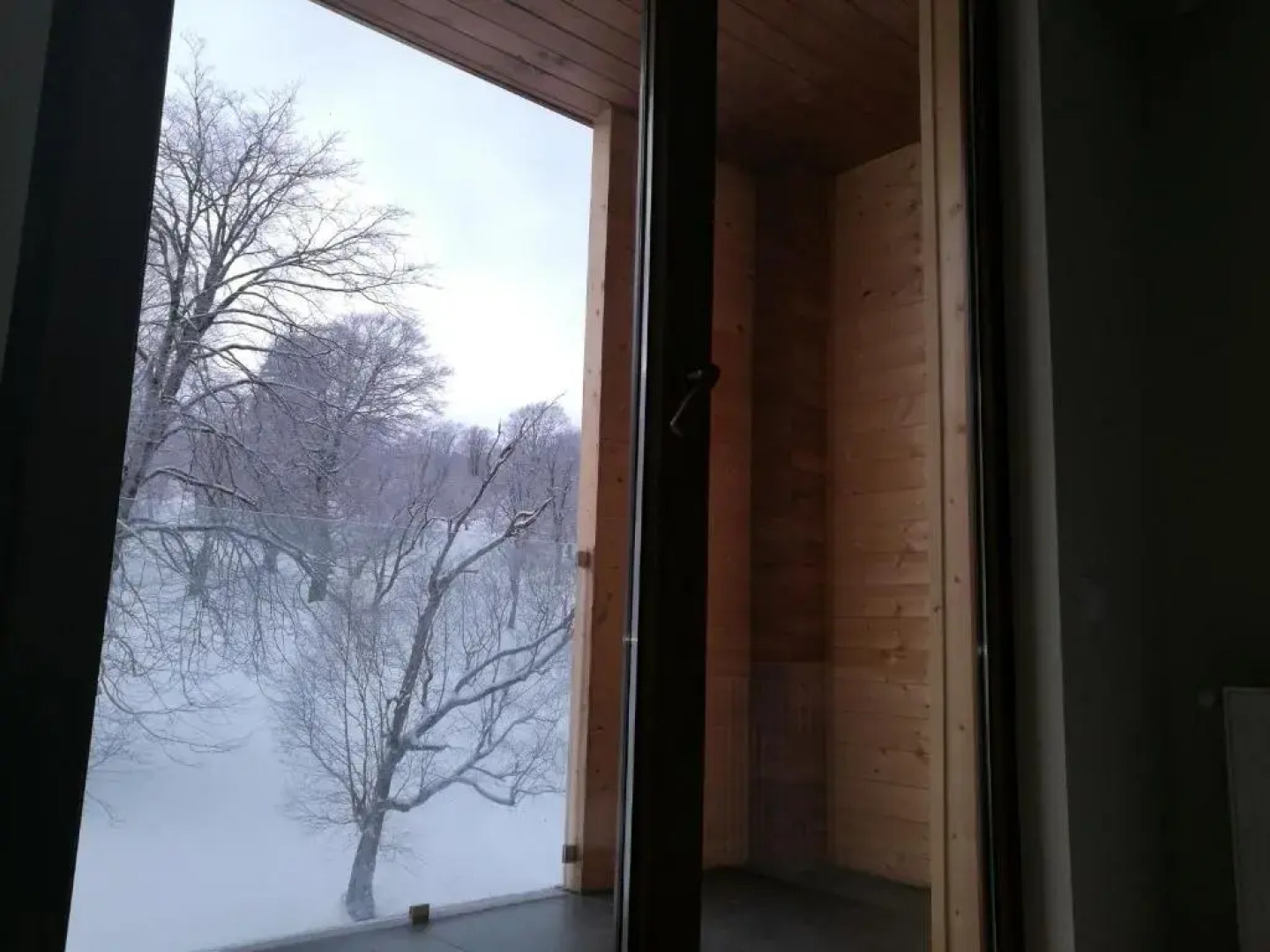 Апартаменты in The Valley Bakuriani 311