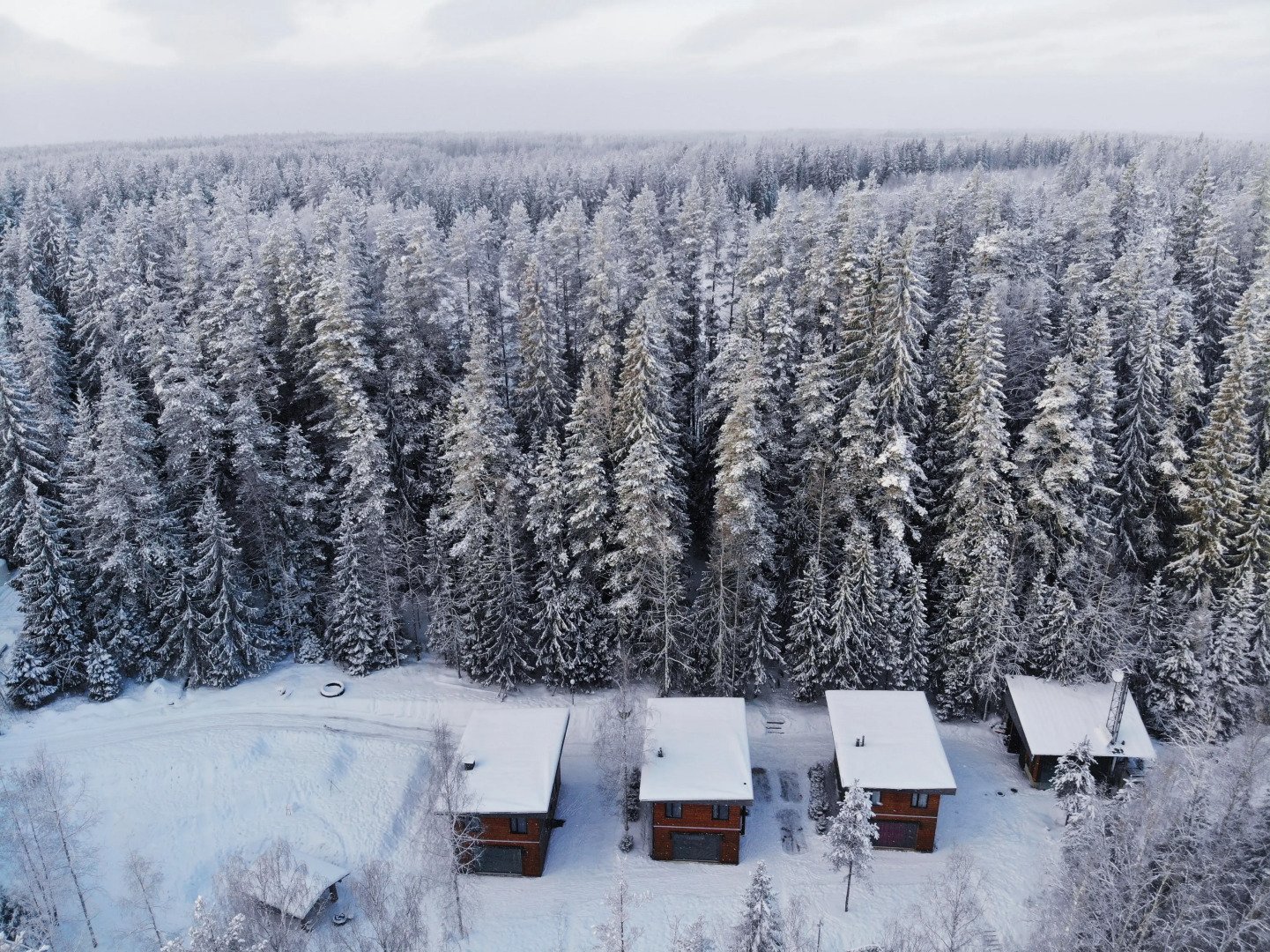 Коттедж Brusnika Village