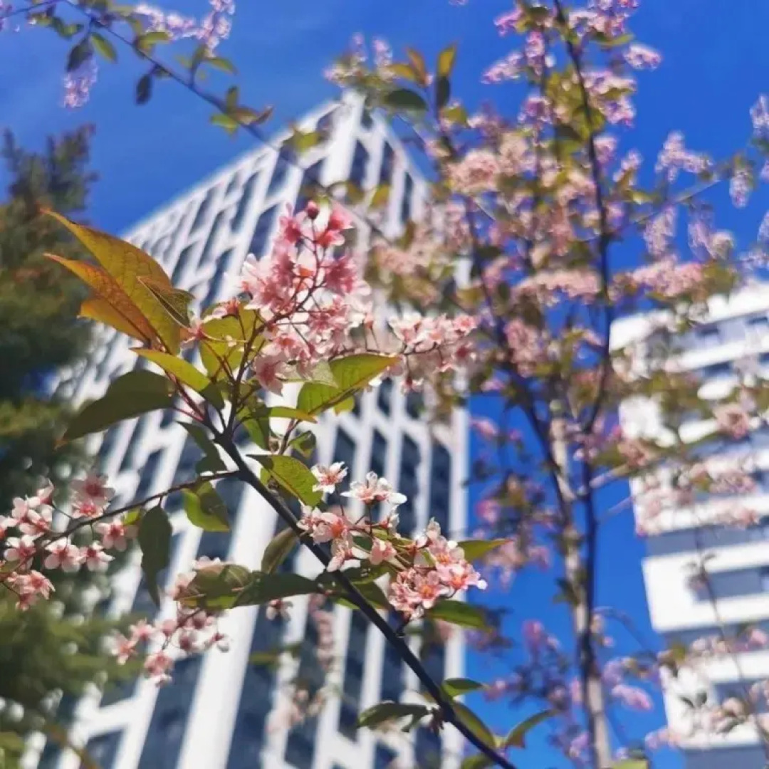 Апартаменты Четырехместные Пентхаус Mix