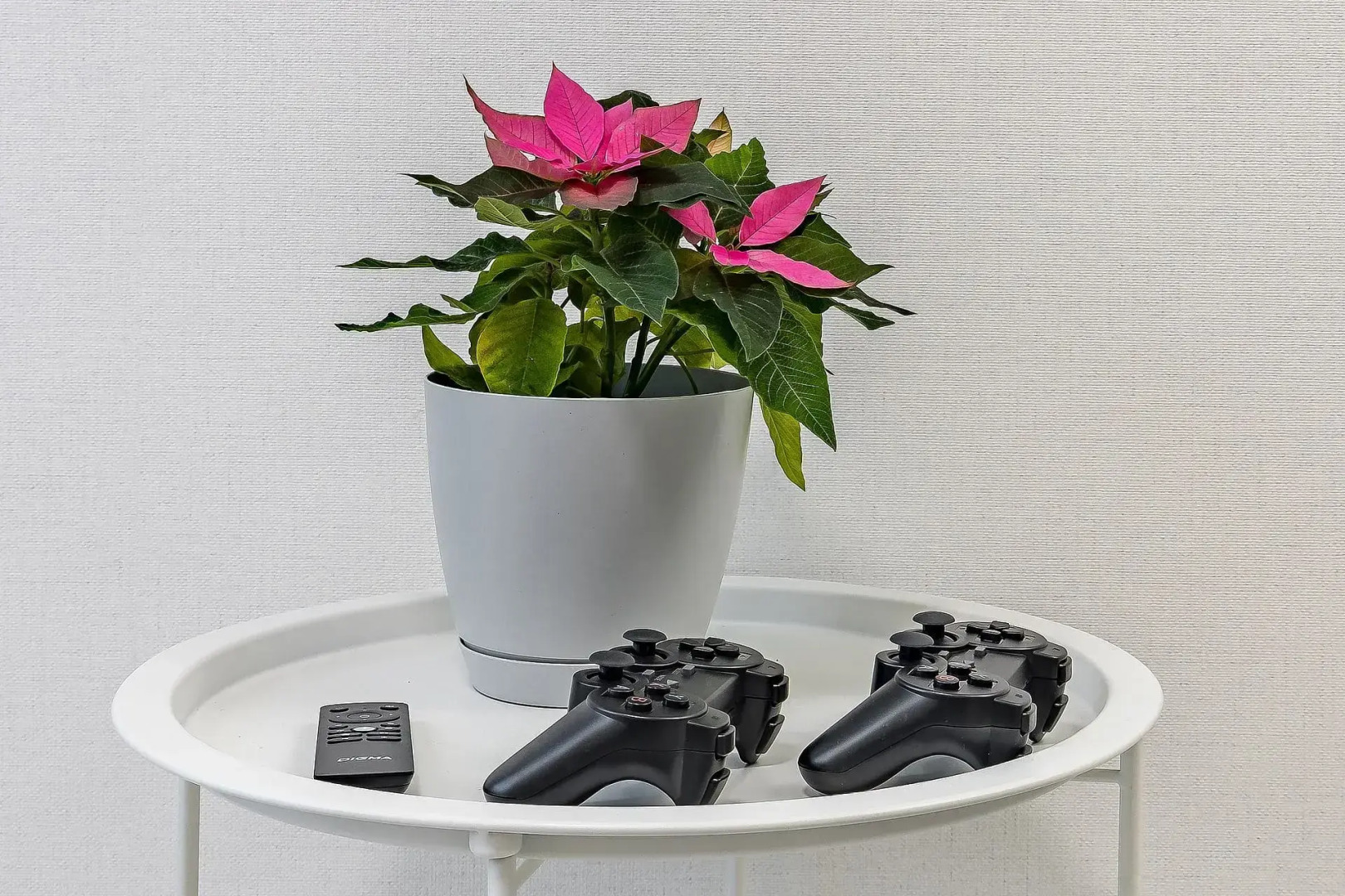 Квартира Комфорт у Океаниса и Парка Швейцария