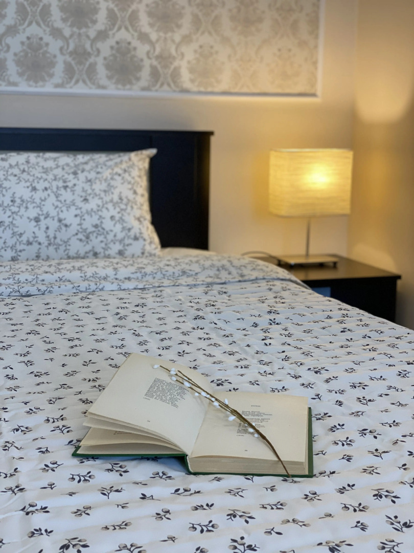 1-комнатные Апартаменты Евро с видом на горы