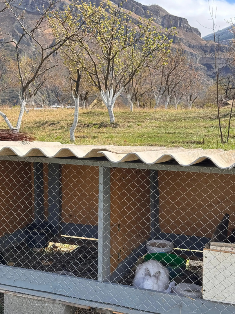 Гостевой дом Домик в Гунибе