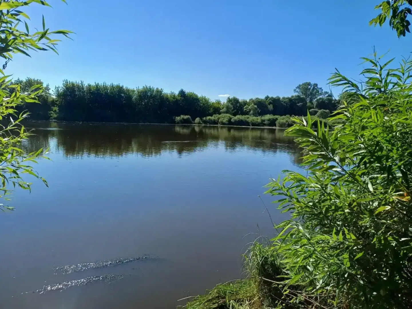 Частный дом Уютный