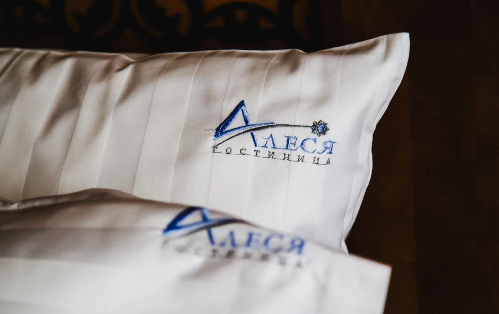 Гостиница Алеся TGB