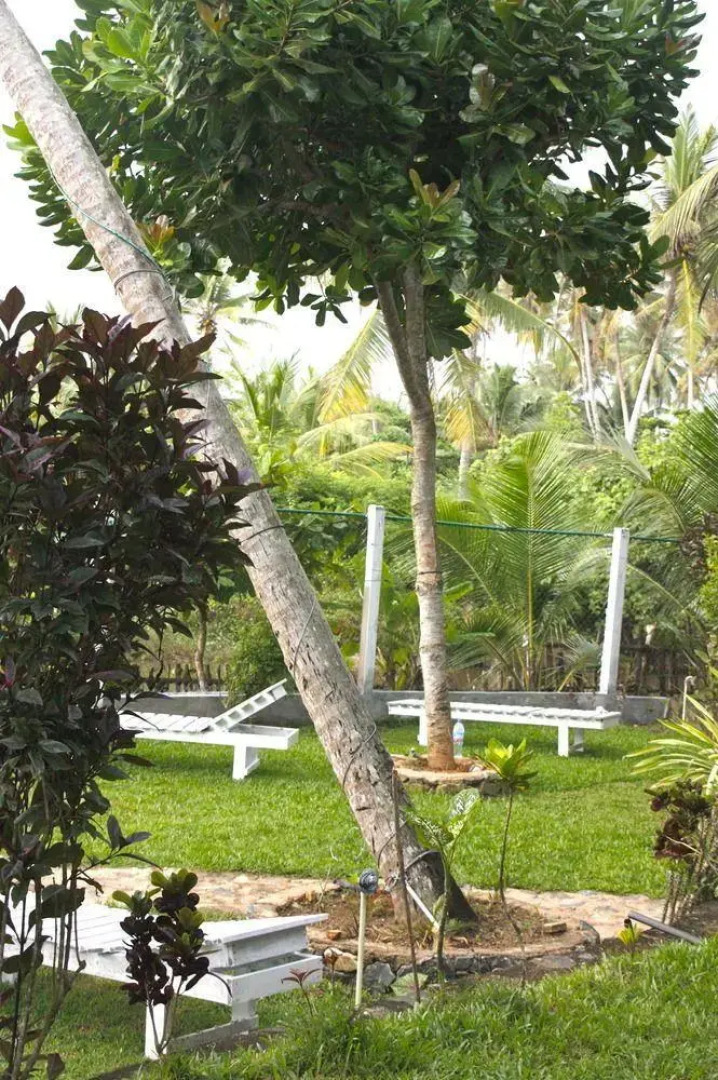 Гостевой дом Asanka Surf House