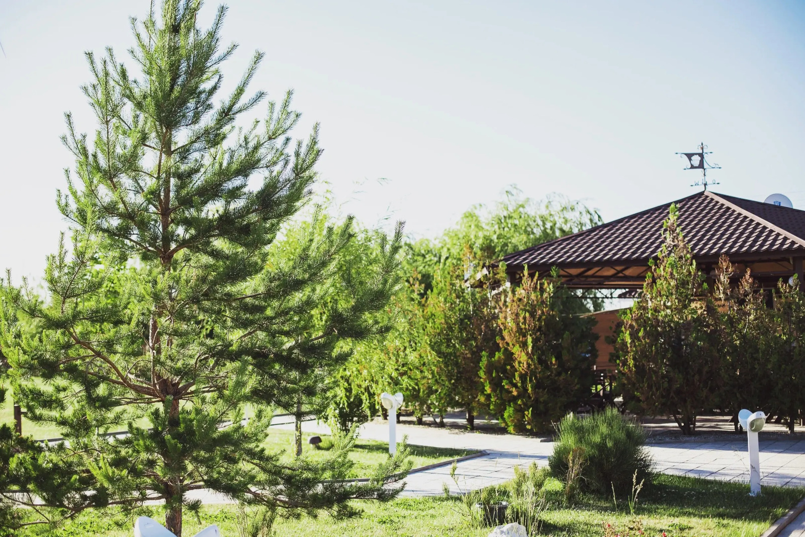 Отель Picnic Park