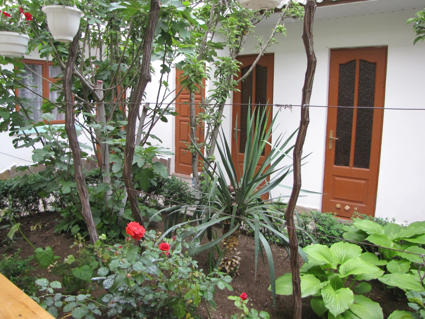 Меблированные комнаты У Чижика