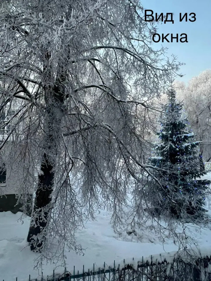 Хостел Любава